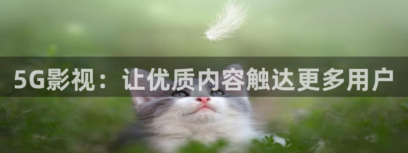 天堂av影院：5G影视：让优质内容触达更多用户